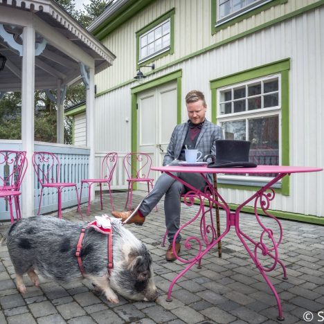 Näin se nollatoleranssi toimii